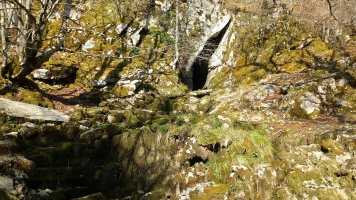 Hartzegi Leizea, iturria