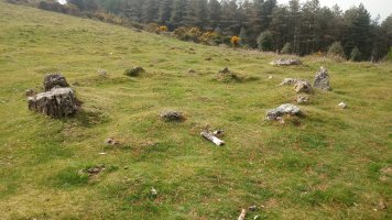 Mandale harrespilak 2