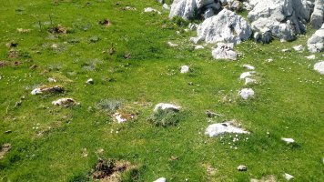 Zabalaitz Ekialde harrespila 2