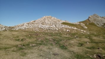 Aizkorritxo trikuharria (2019)