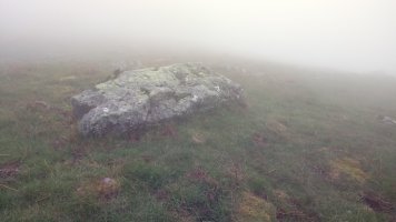 Malkorra zutarria (2019)