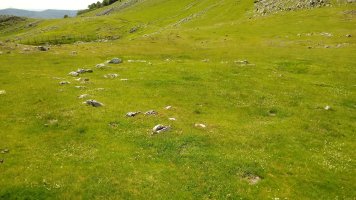 Biozkorna harrespila (2019)