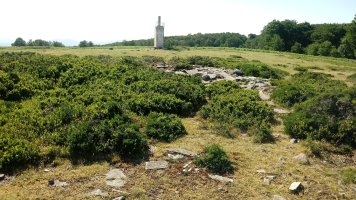 Errazu E. III trikuharria 2