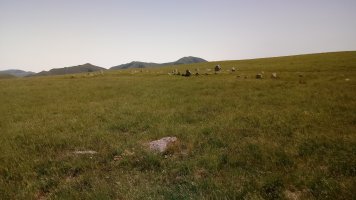 Ilharrita harrespilak 11