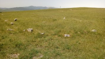 Ilharrita harrespilak (2019)