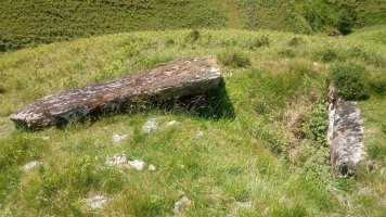 Artxilondo trikuharria 3