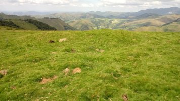 Iropile etxola-hondoak 4