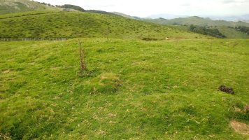 Iropile etxola-hondoak 2