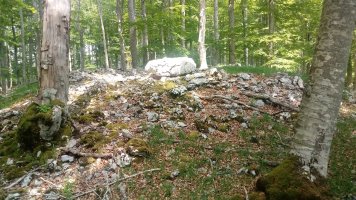 Soiltxiki trikuharria 4