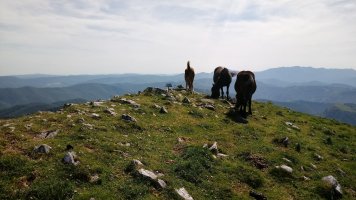 Beleku Ip. (1251m) postontzia