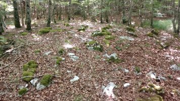 Bakedanoko Portuzargaina tumulua 2