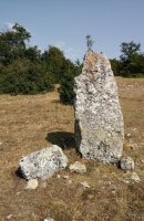 Arritirra (Larraitza) zutarria 3