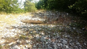 Bakedanoko Portuzargaina I Ipar trikuharria (2019)