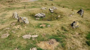 Iratisoro H. harrespila