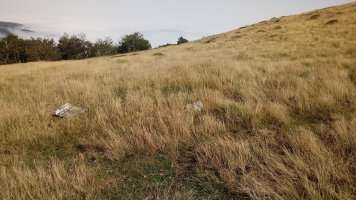 Xardeka harrespila II