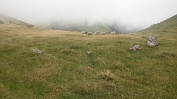 Millagaateko harrespila I 3