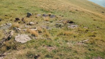 Errozateko harrespila 2