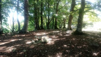 Peña Roja - Txumartegi (1067m) tontorra