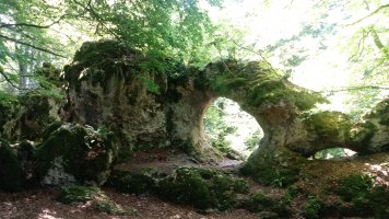 Zalanportillo uztaia