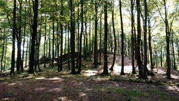 Kipular (1065m) gaina