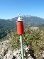 Aitzabalgo txartelontzia