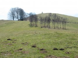 Tontorraren inguruak