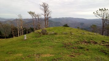 Elurzulo harrespila (2019)