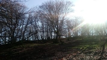 Pagoaundi (1029m) azken zatia