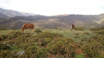 Lizartzeta (849m) gainaldea