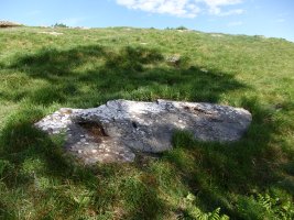 ALTZUSTABERRI II zutarri