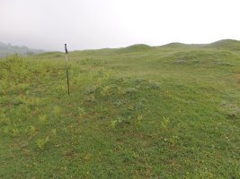 ALTZUSTABERRI campo tumular