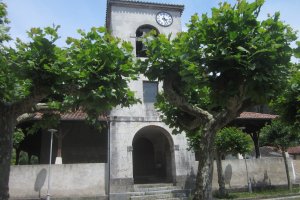 Inmaculada Concepción 