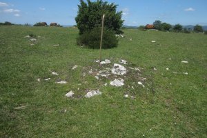 Túmulo nº 5  (Mayo 2020)