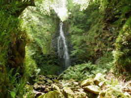 Belaustegi ur-jauzia