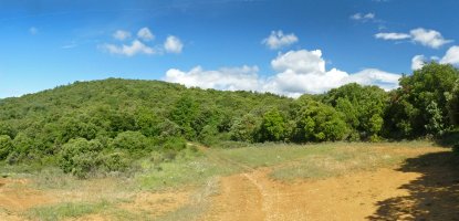 Lepoa, hegoaldeko bizkarrean