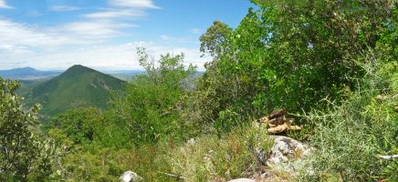 Mendebaldeko gailurra