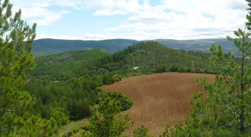 Kastellarko bi gialurrak 