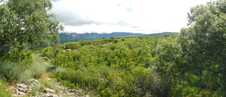 Kastellarko gainaldea, artean gororlekuaren profila ikusgai