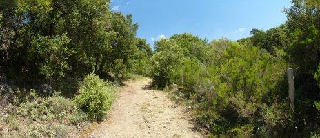 Koskotia eta Bisaurreta arteko bidea