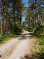 Ibilbidearen zati handienean bide erosoak daude