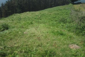 Túmulo Aitolamendi  (Junio 2020)