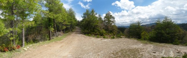 Lekunz iparraldeko lepoa