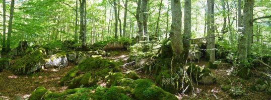 Gainaldea, lapiazak hartuta