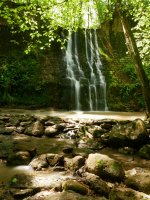 Bolintxuko ur-jauzia