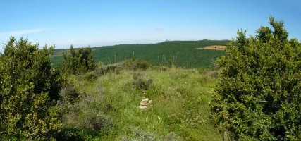 Saleras gaineko galurra