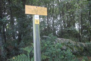 Dólmen Pouey Majou (Julio 2020)