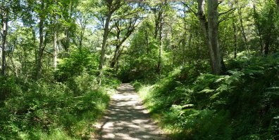 Bidea Urdiaingo igerilekuetatik gertu