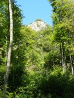 Ekialdeko gailur zirraragarria