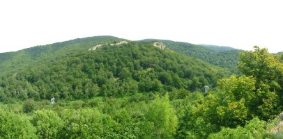 Arbotonaundi eta Arbotontxiki