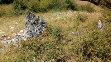 San Juan trikuharria (2020)